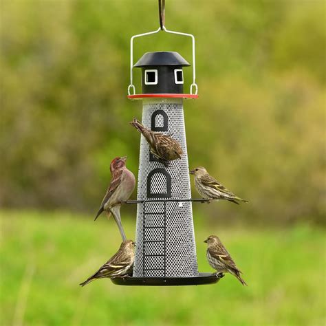 Best Finch Bird Feeders | Birdcage Design Ideas