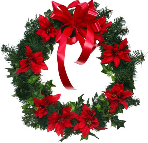 Wreath Poinsettia Cut flowers Christmas - flower png download - 3558* ...