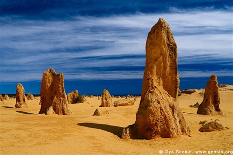 The Pinnacles Desert, Nambung National Park, Western Australia. Photographic Guide.