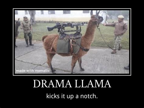 Drama Llama : r/memes