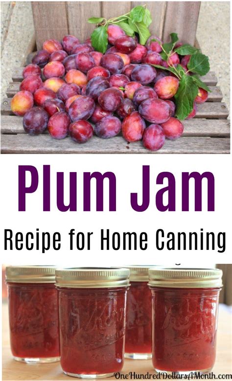 Canning 101 - Cinnamon Plum Jam Low Sugar Recipe - One Hundred Dollars a Month