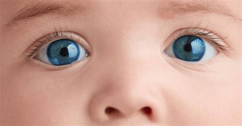 Is It Ethical to Choose Your Baby’s Eye Color? - WSJ