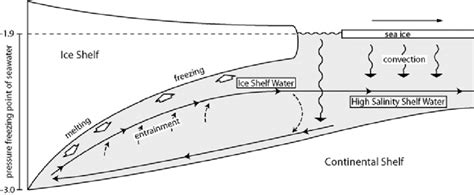 Schematic diagram of processes beneath an idealised ice shelf. | Download Scientific Diagram