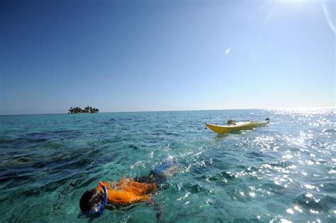 Belize Snorkeling Photo Gallery | Island Expeditions