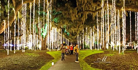 Brookgreen Gardens Christmas - Martha Peoples Photography