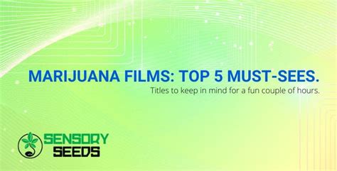 Marijuana movies: the top 5 movies you shouldn't miss