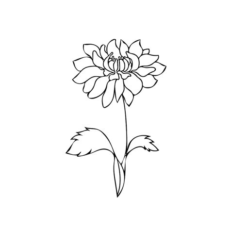 Dahlia Tattoo Design Line Art Simple Minimalist, Instant Download, Tattoo Floral Design, Flower ...