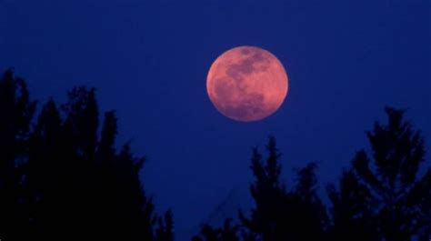 Have you seen the 'strawberry moon' eclipse?