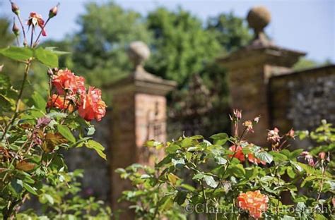 Chawton House to re-open its Gardens from July 4!