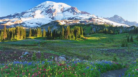 Mount Rainier National Park Wallpaper