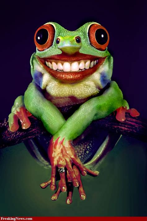 Mutant Frog | Frog pictures, Funny frog pictures, Funny frogs