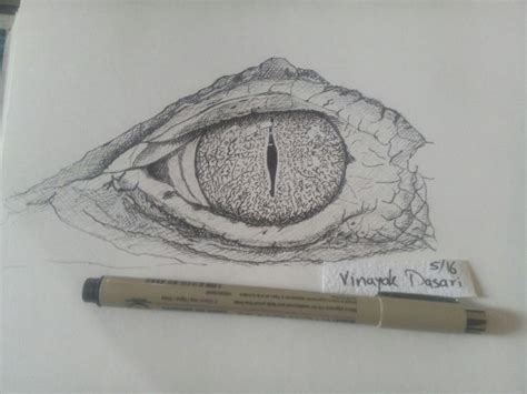 Crocodiles eye, ink | Crocodile eyes, Eye sketch easy, Eye painting