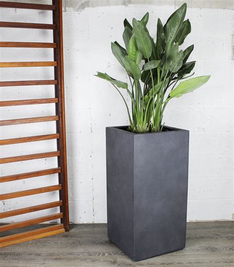 Trend Tall Square Planter | Square planters, Planters, Front entryway