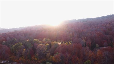 Autumn colors and mountain road aerial view 4276206 Stock Video at Vecteezy