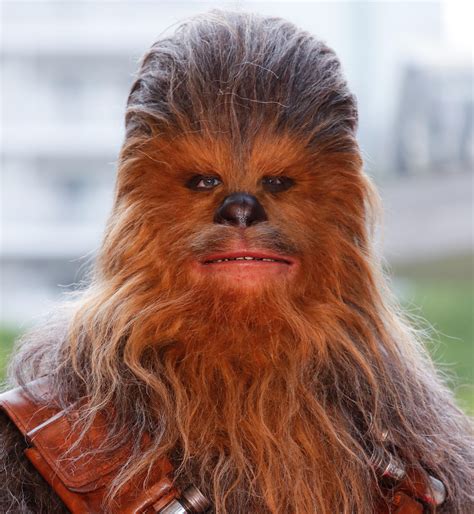 The actor that played Wookiee Chewbacca, in Star Wars, dies at 74 ...