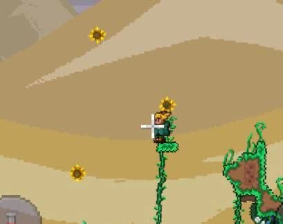 floating sunflower heads : Terraria