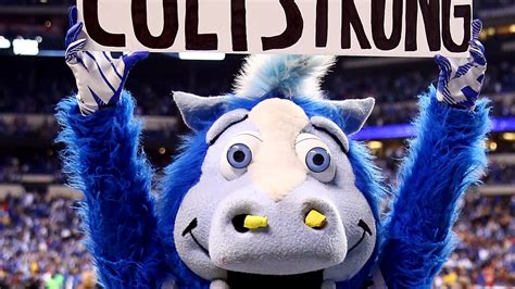 Go Blue! Colts mascot named '2019 NFL Mascot of the Year'