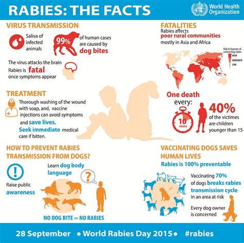 Health Observation: Rabies Awareness