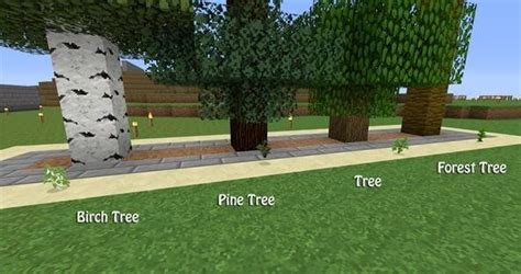 How To Grow A Tree Farm In Minecraft | Geeky Matters