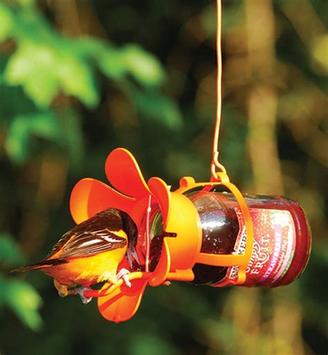 SONGBIRD ESSENTIALS - Jelly - Jam Bird Feeder (SEBCO212) | Bird feeders, Backyard birds, Diy ...