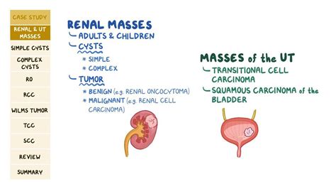 High Yield: Renal and urinary tract masses - Osmosis