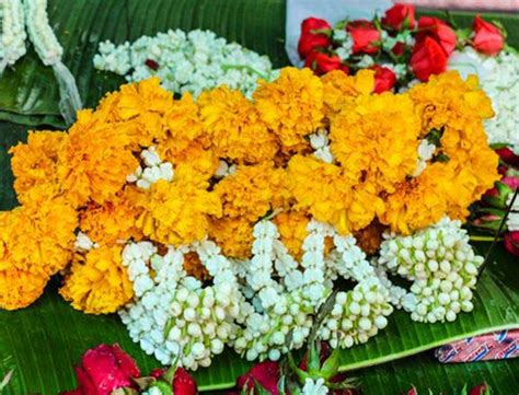 Fresh Puja Flowers at Best Price in Bangalore - ID: 1589819 | Huge Exports