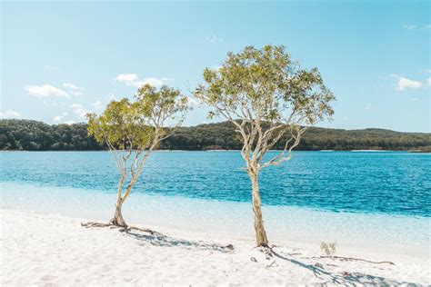 Top 10 Fraser Island Attractions - Fraser-Tours.com