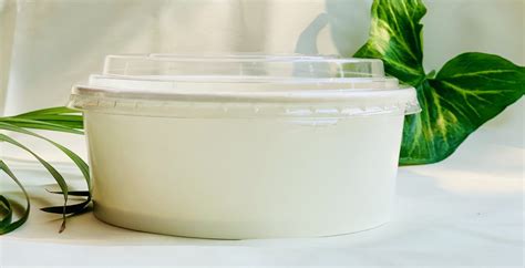 Paper Salad Bowls / Large Containers - Aecoz - Paper bowl manufacturers