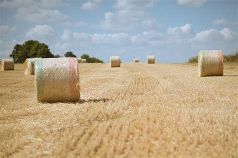 Hay Bales Field Harvest Round - Free photo on Pixabay - Pixabay