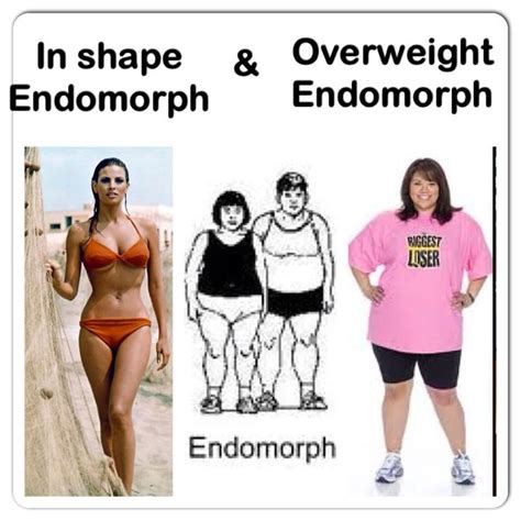 18 best Endomorph Body Type Dressing & Diet images on Pinterest | Exercises, Body types and ...