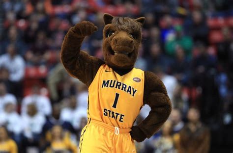 Murray State Basketball: Racers have become elite building block program