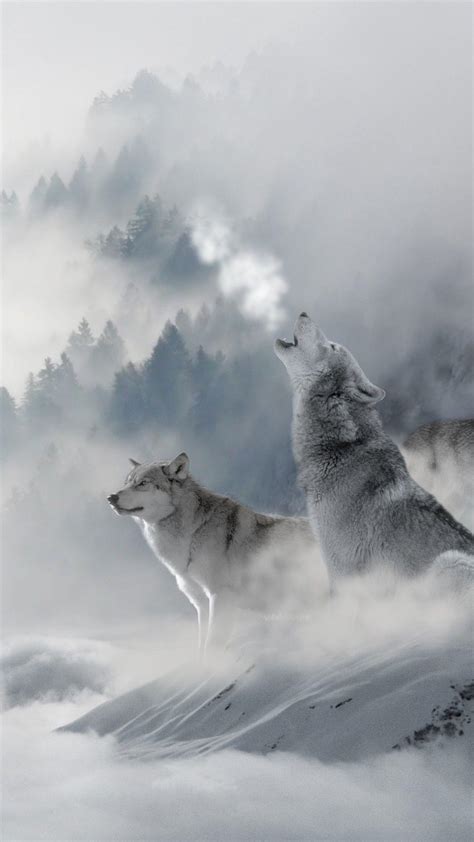 Winter Wolf iPhone Wallpapers - Top Free Winter Wolf iPhone Backgrounds - WallpaperAccess