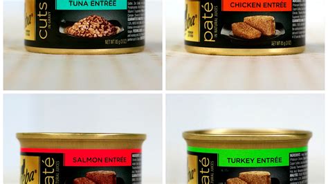 Good Cat Food Brands - Cat Choices