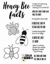 Honey Bee Facts  Free Printable Coloring Page Over 1000 coloring sketch template