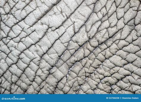 Elephant Skin Nature Pattern Stock Photo - Image of close, brain: 53706038