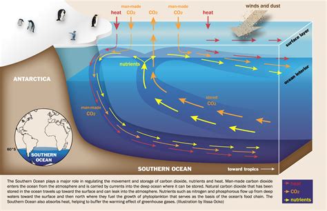 Secrets of the Southern Ocean – Discovery: Research at Princeton