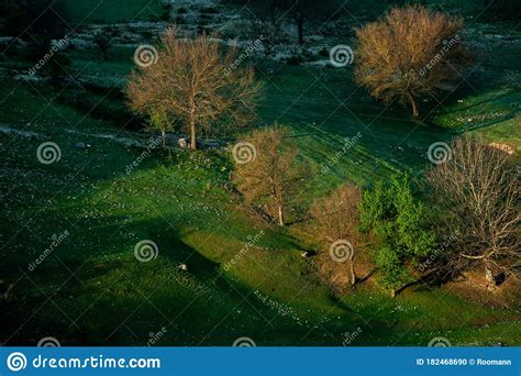 Natural Summer Landscape in Moldova. Stock Photo - Image of grassland ...