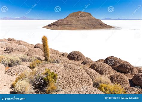 Huge Cactus Salar De Uyuni Island Volcano Mountains Scenic Landscape Stock Image - Image of ...