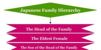 Family Hierarchy | Family tree Hierarchy Chart | Hierarchystructure