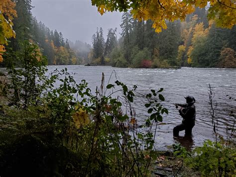 Salmon fishing on the river : Fishing