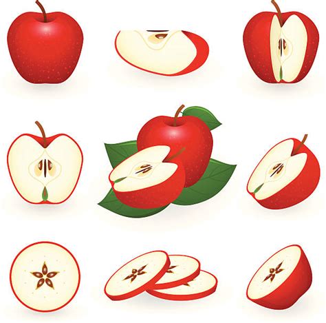 sliced apple clipart 20 free Cliparts | Download images on Clipground 2023