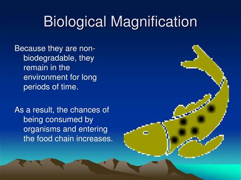 PPT - Biological Magnification PowerPoint Presentation, free download - ID:712052