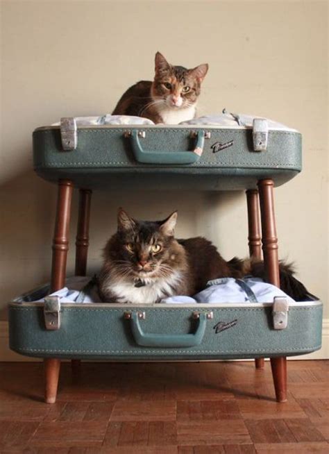 16 Simple DIYs To Satisfy Your Inner Cat Lady | Diy cat bed, Cat crate bed, Cat crate