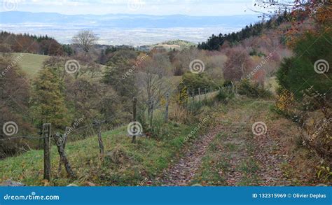 Landscape in Livradois Forez, Auvergne, France Stock Image - Image of mountains, autumn: 132315969