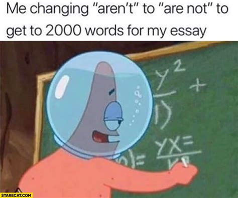 Spongebob Essay Meme – Telegraph