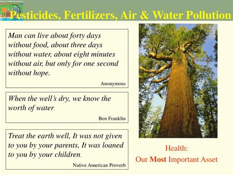 PPT - Pesticides, Fertilizers, Air & Water Pollution PowerPoint ...