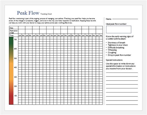 Asthma Peak Flow Charts PDF | MS Word | Printable Medical Forms ...