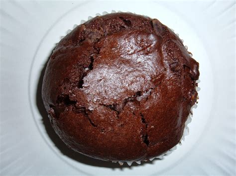 File:Chocolate muffin with chocolate chips.JPG - Wikimedia Commons