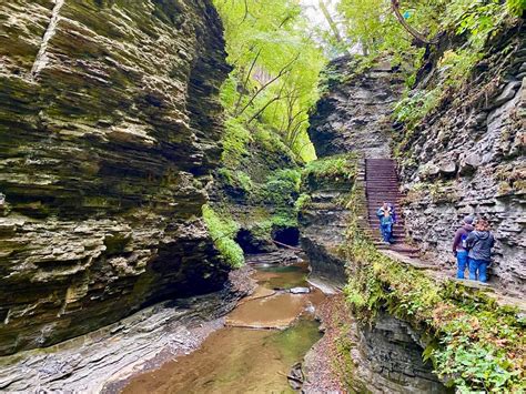 The Watkins Glen Gorge Trail: 19 Different Waterfalls on One Epic Hike in Watkins Glen State ...