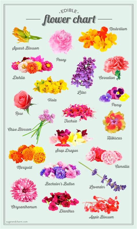 Birth Month Flowers Chart - Edible Flower Chart | Flower food, Edible ...